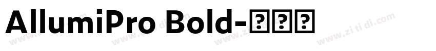 AllumiPro Bold字体转换